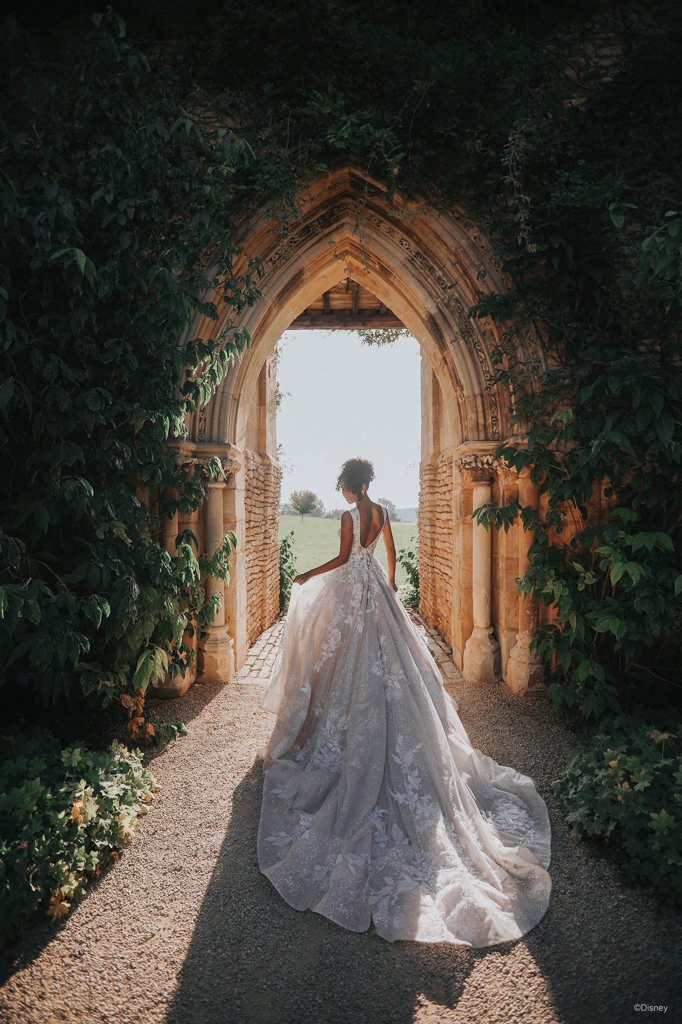 DP358 - Tiana