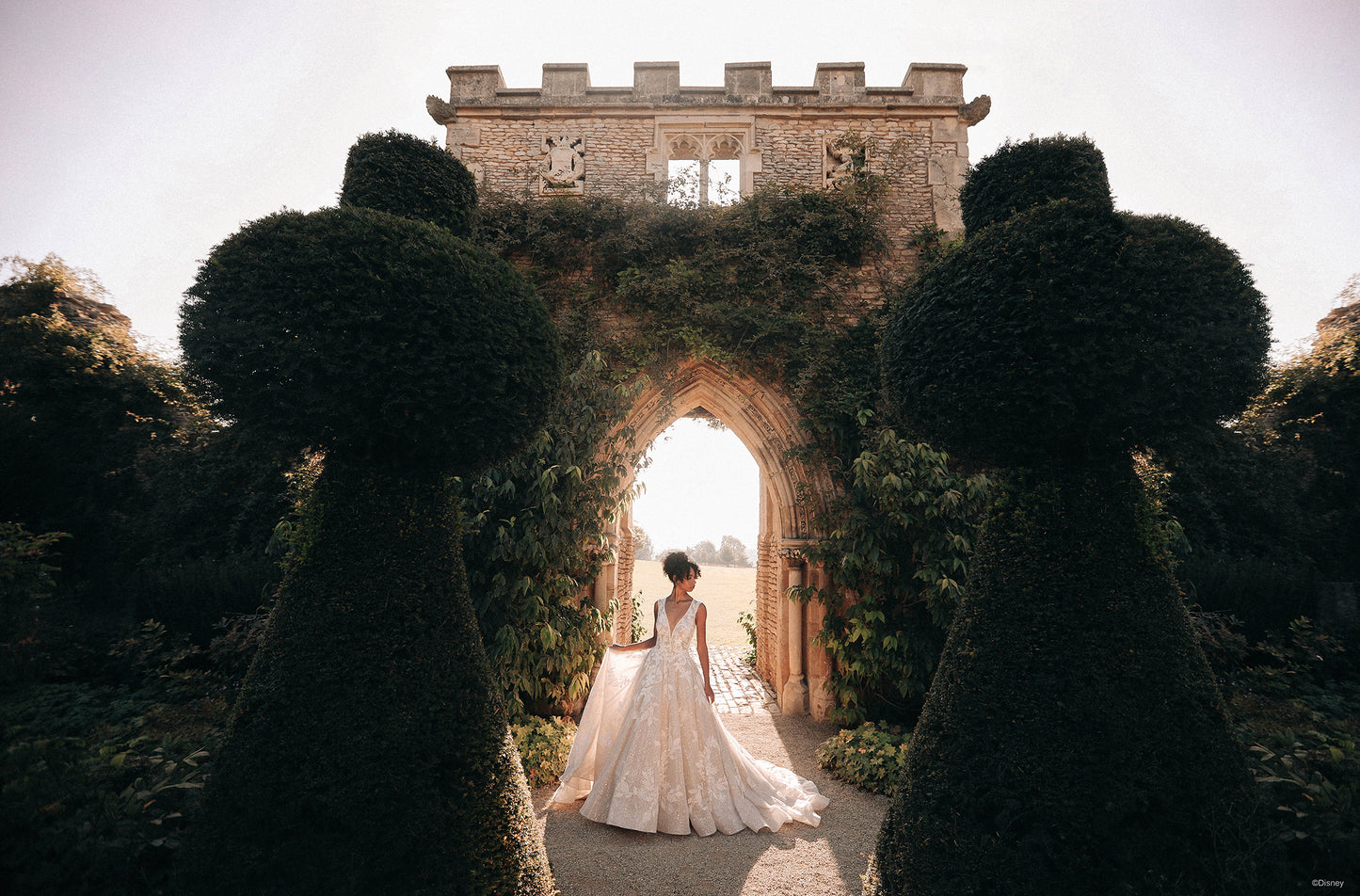 DP358 - Tiana