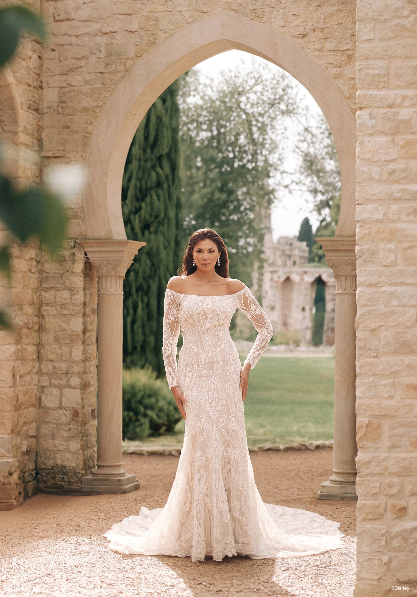 DP404 - Jasmine