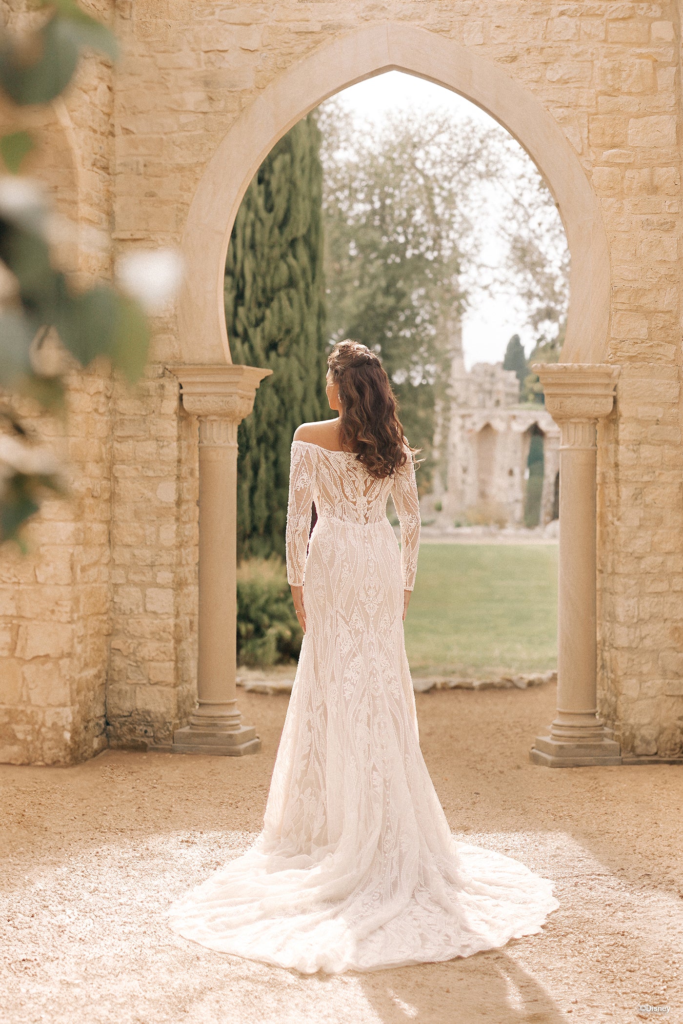 DP404 - Jasmine