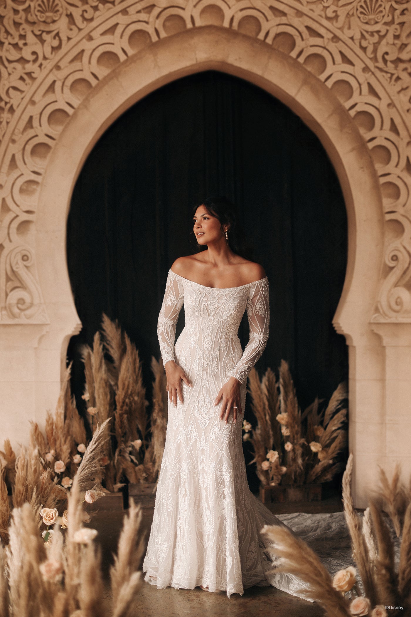 DP404 - Jasmine