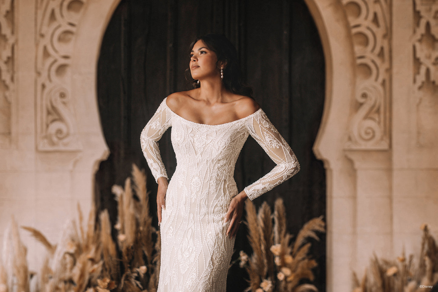 DP404 - Jasmine