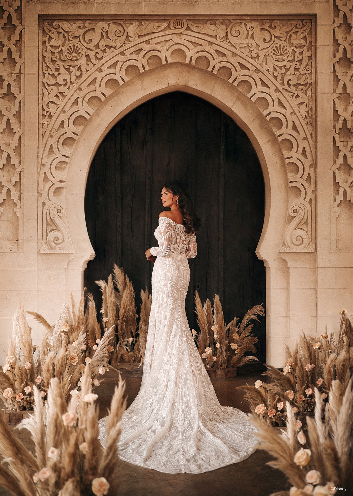 DP404 - Jasmine