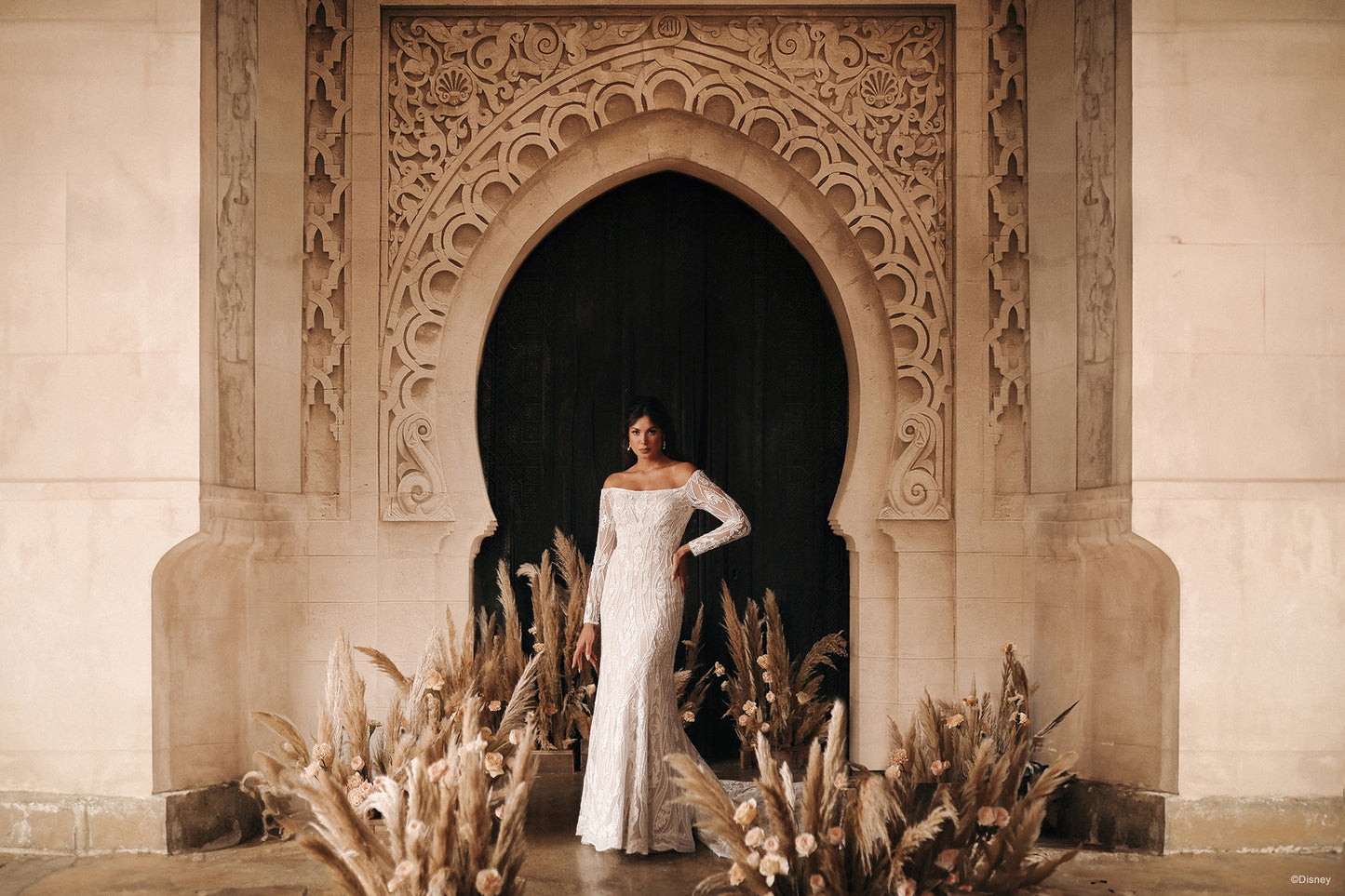DP404 - Jasmine
