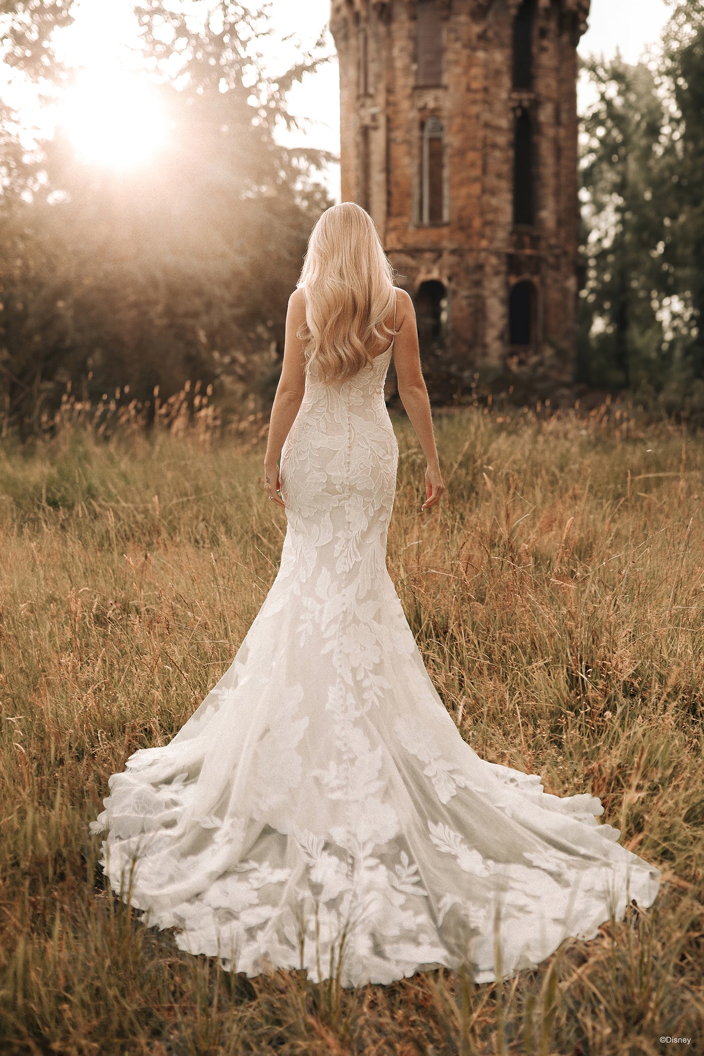 DP406 - Rapunzel