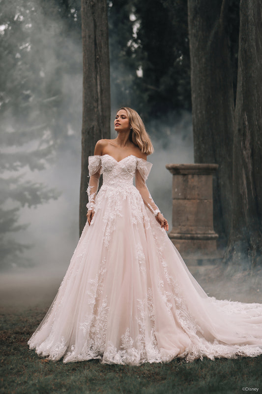 DP421 - Aurora