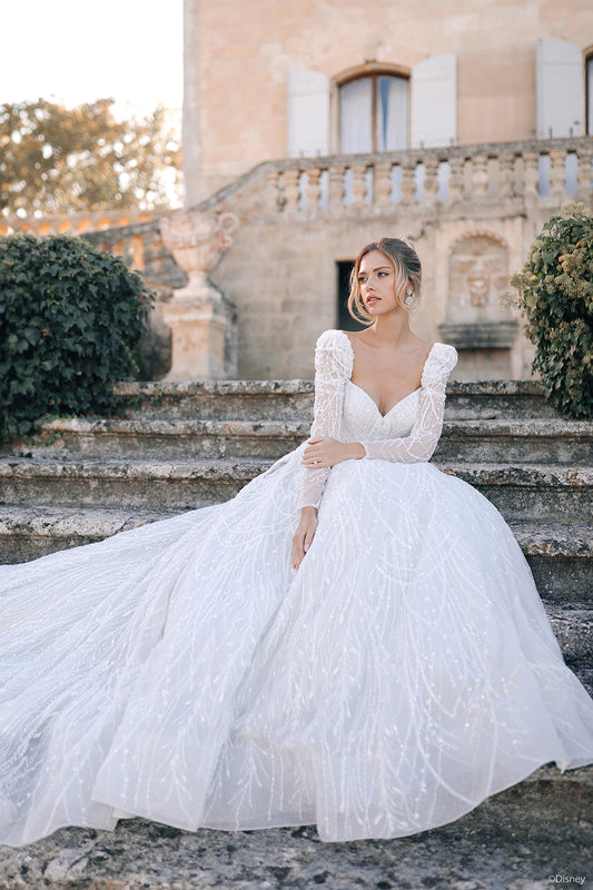 DP423 - Cendrillon