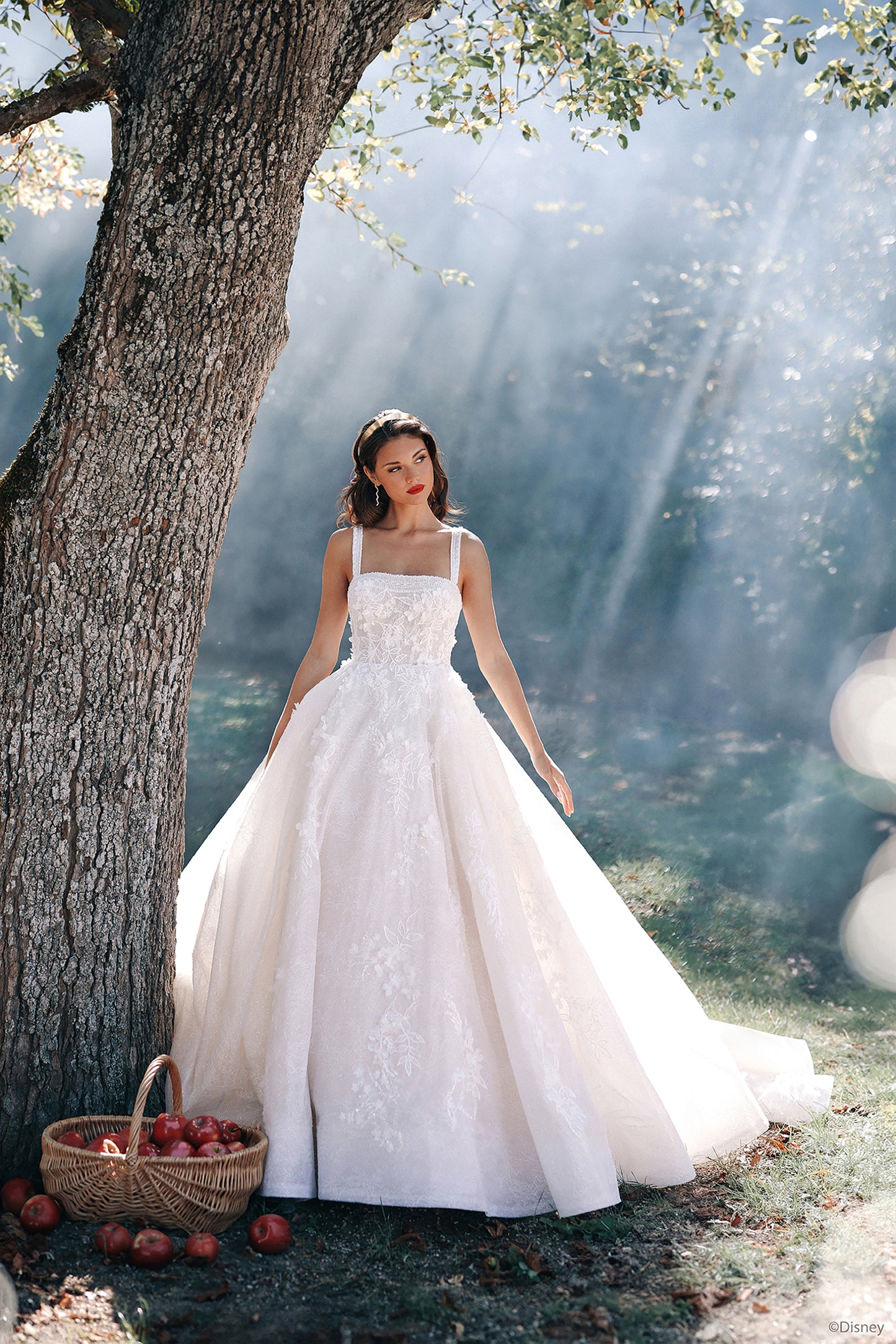 DP427 - Snow White