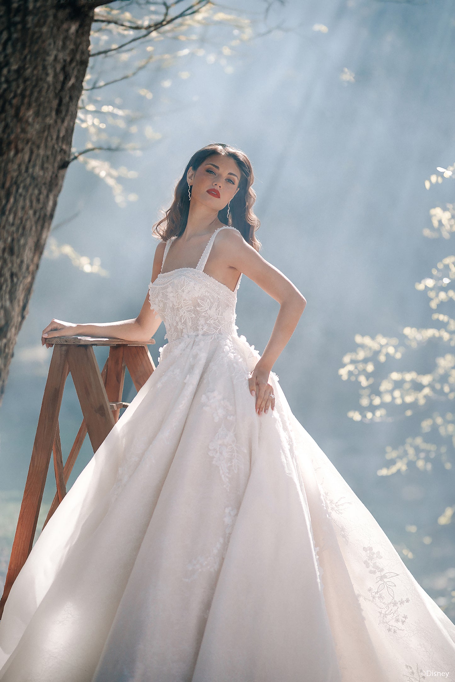 DP427 - Snow White
