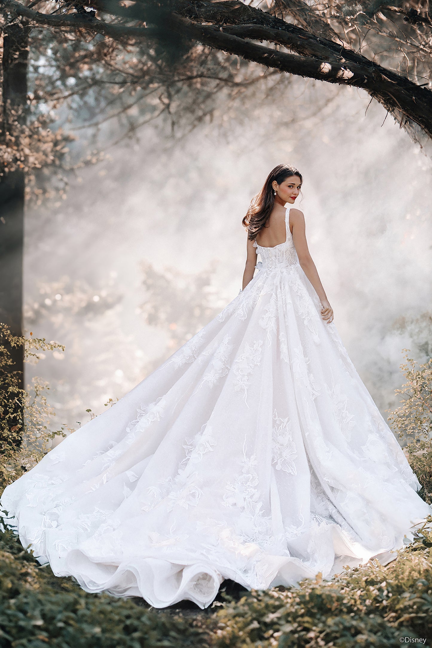 DP427 - Snow White