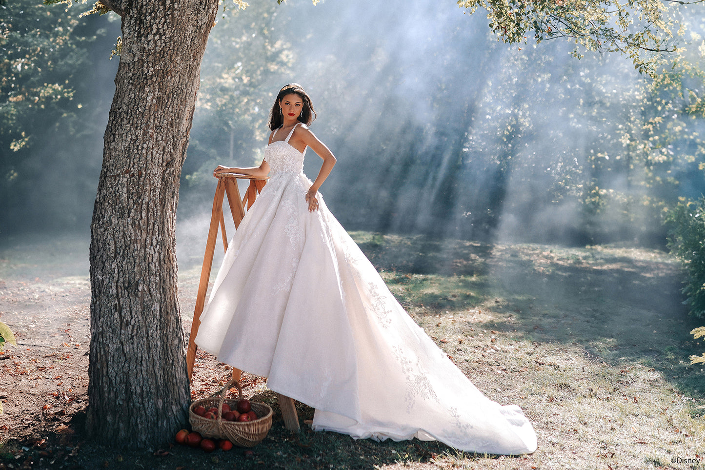 DP427 - Snow White