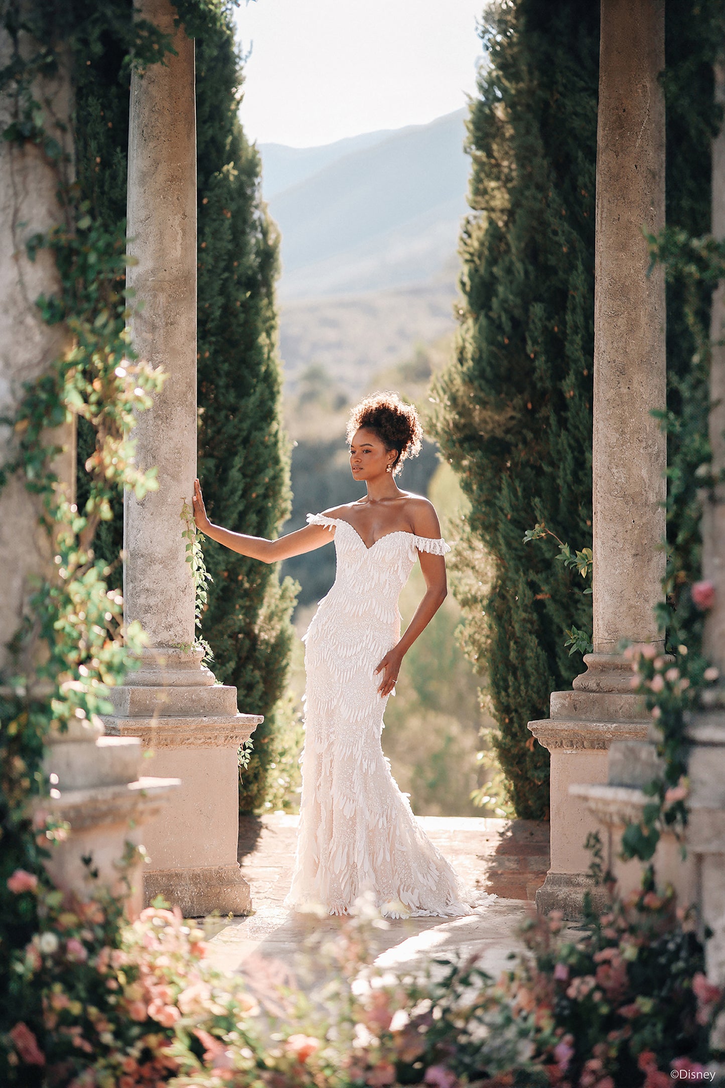 DP428 - Tiana