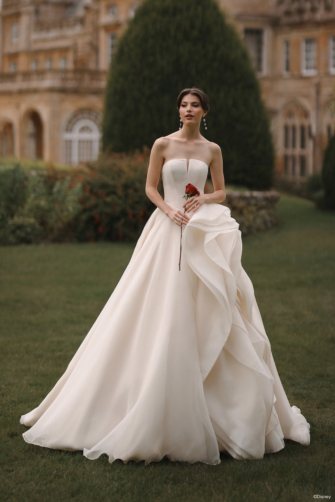 DP452 - Belle