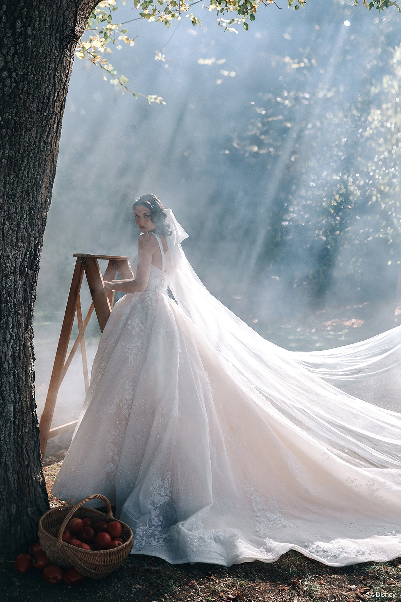 DP427 - Snow White