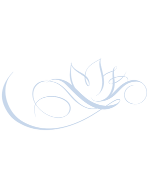 Slide Logo