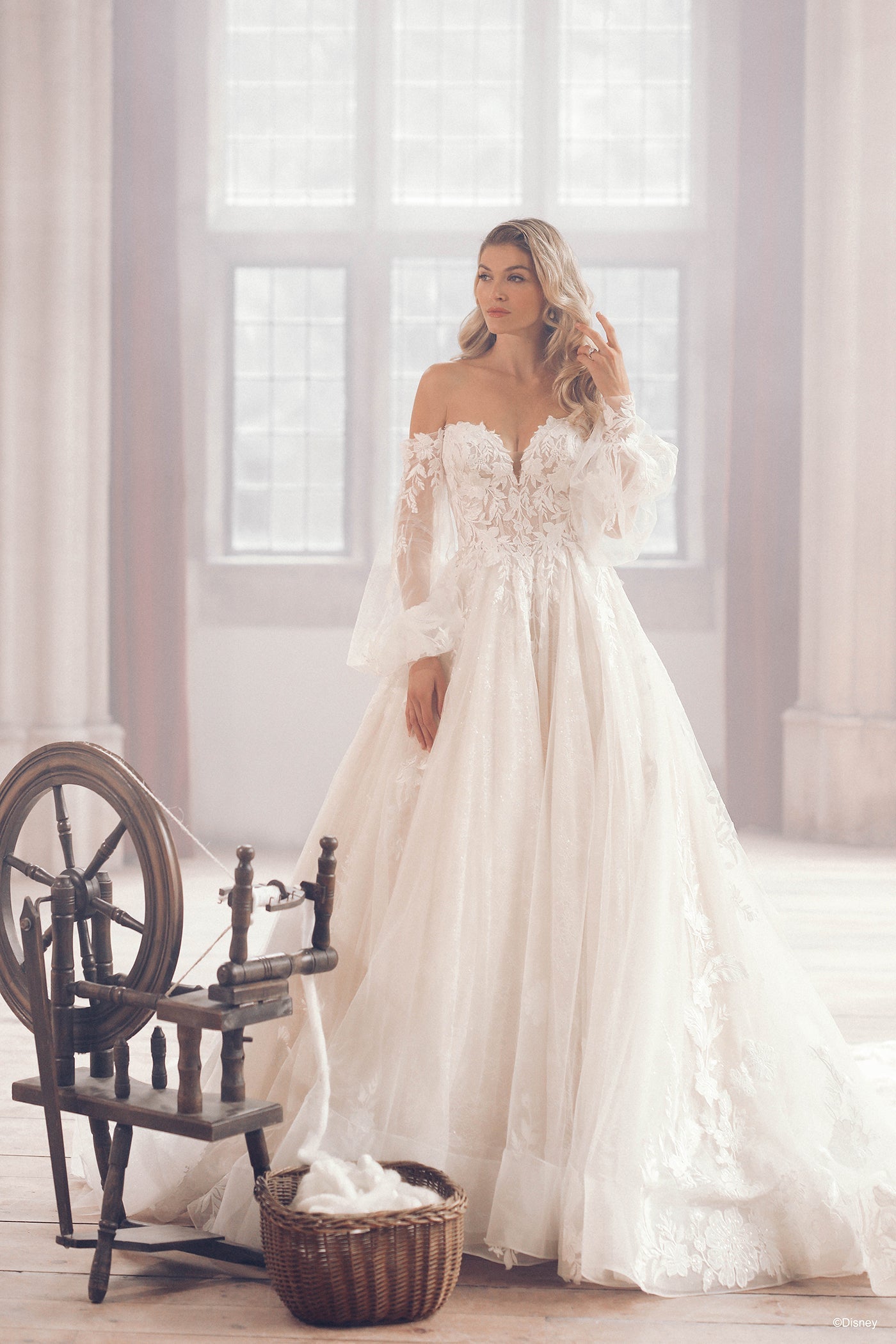 Inspired by Princess Aurora