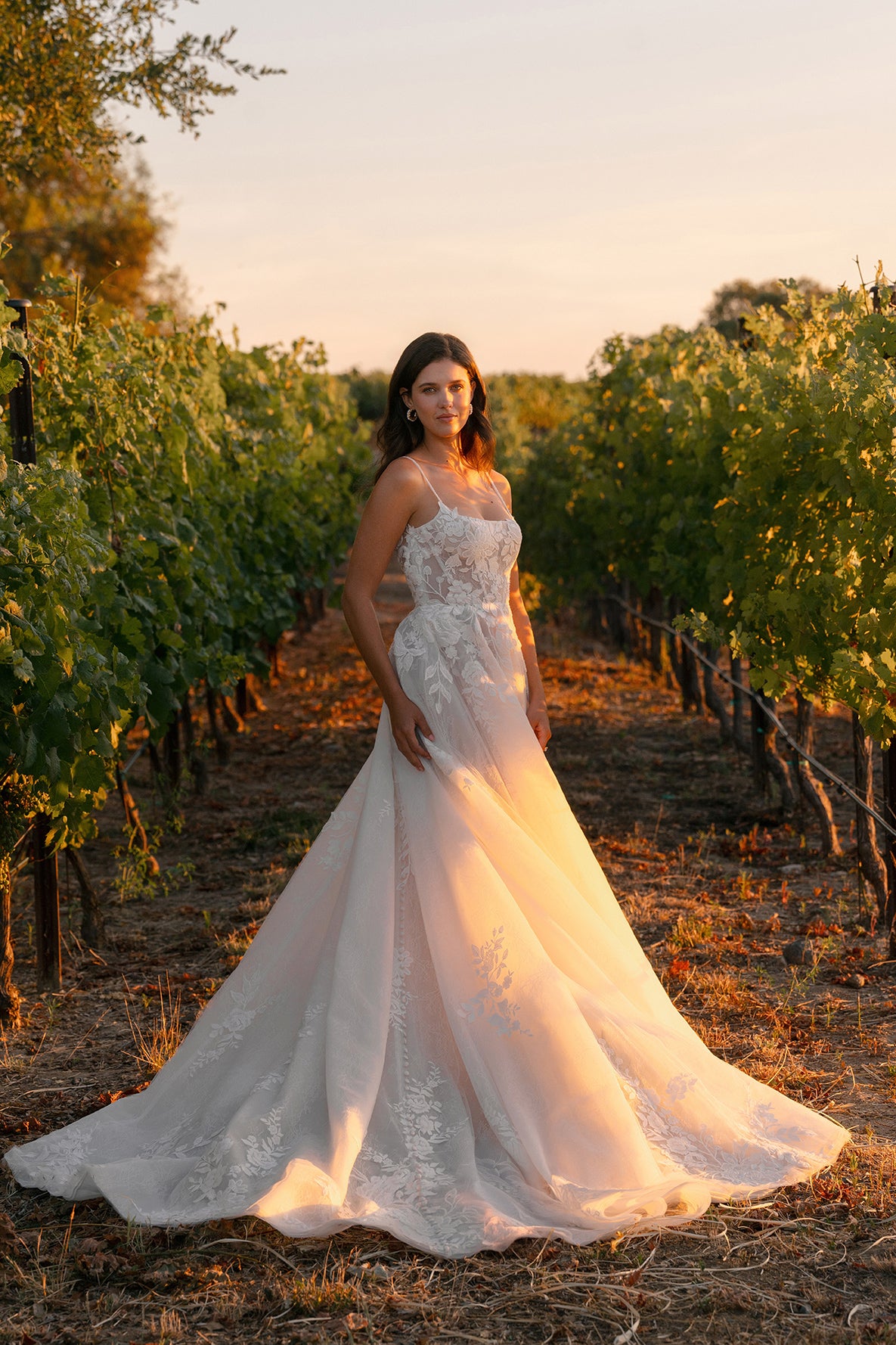 Allure Bridals Collection | Allure Collection