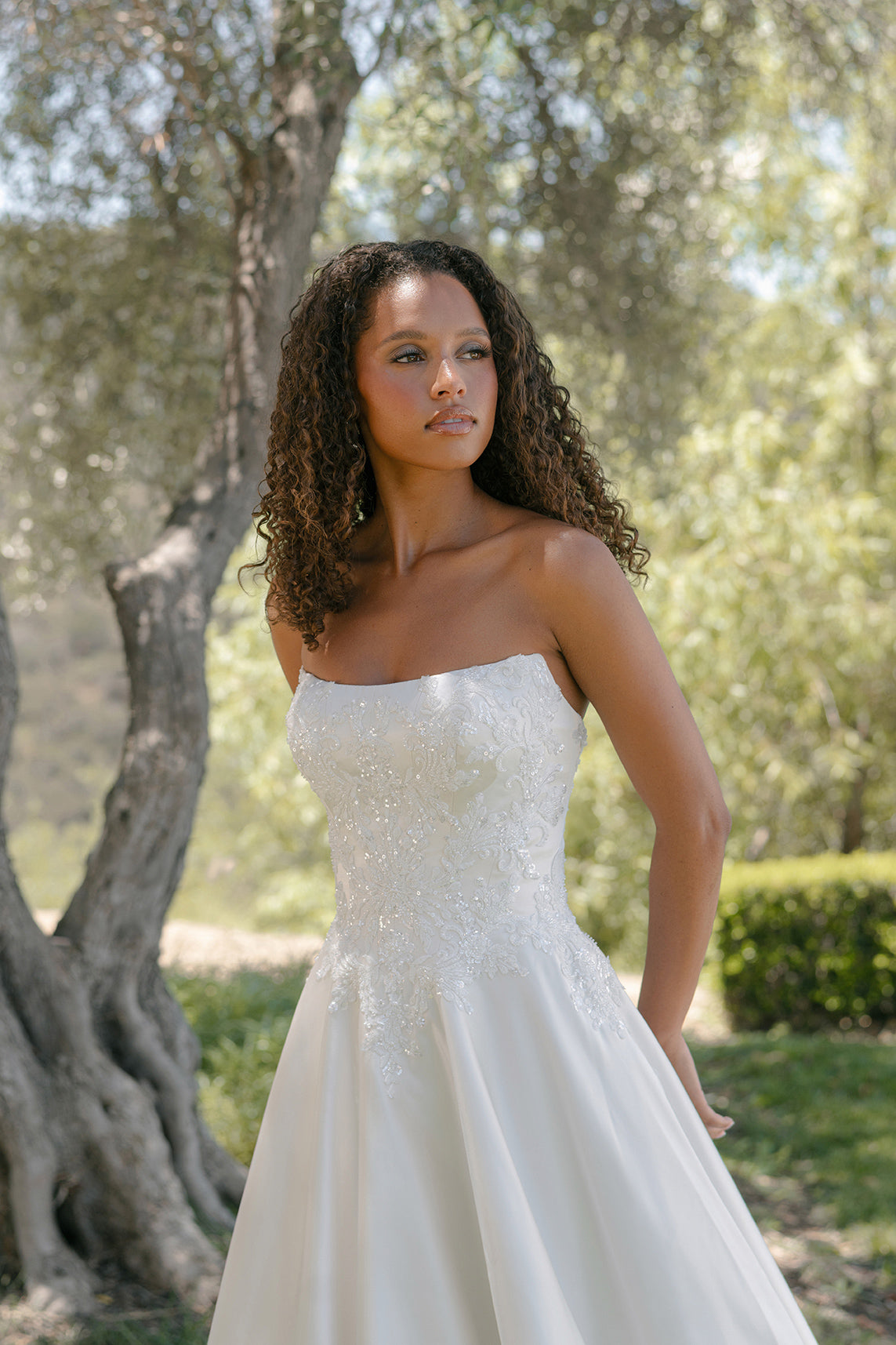 A1419 – Allure Bridals