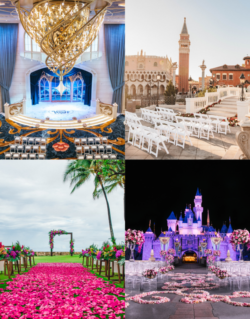 Top Split Banner Image