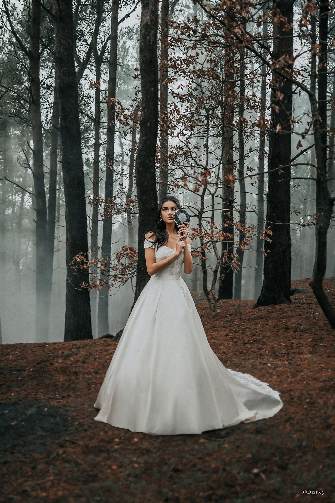 D262 - Belle