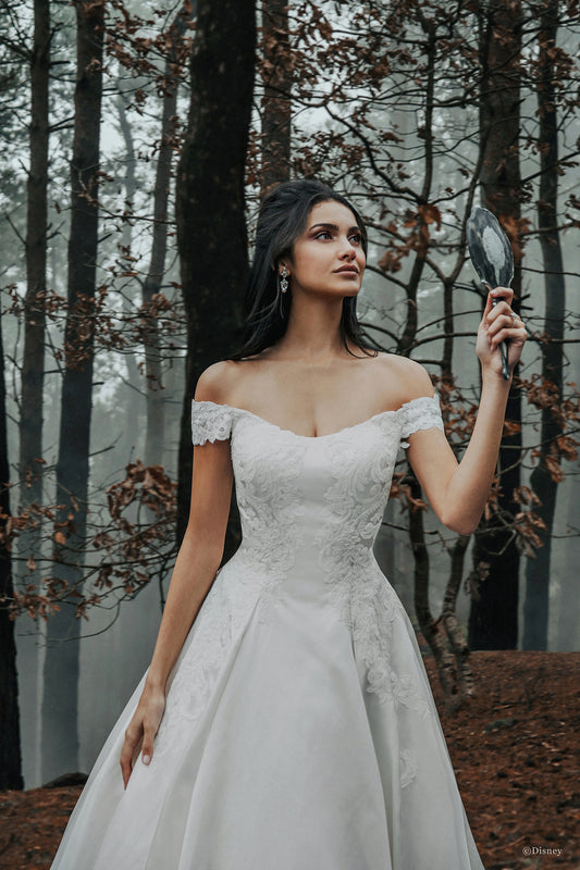 D262 - Belle
