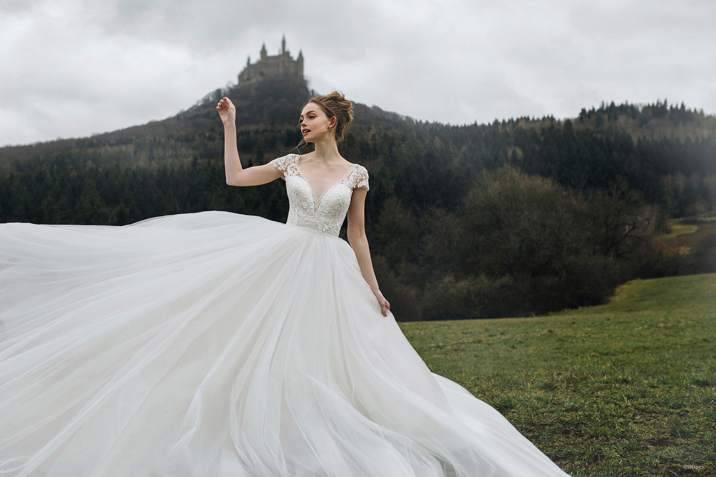D263 - Cinderella