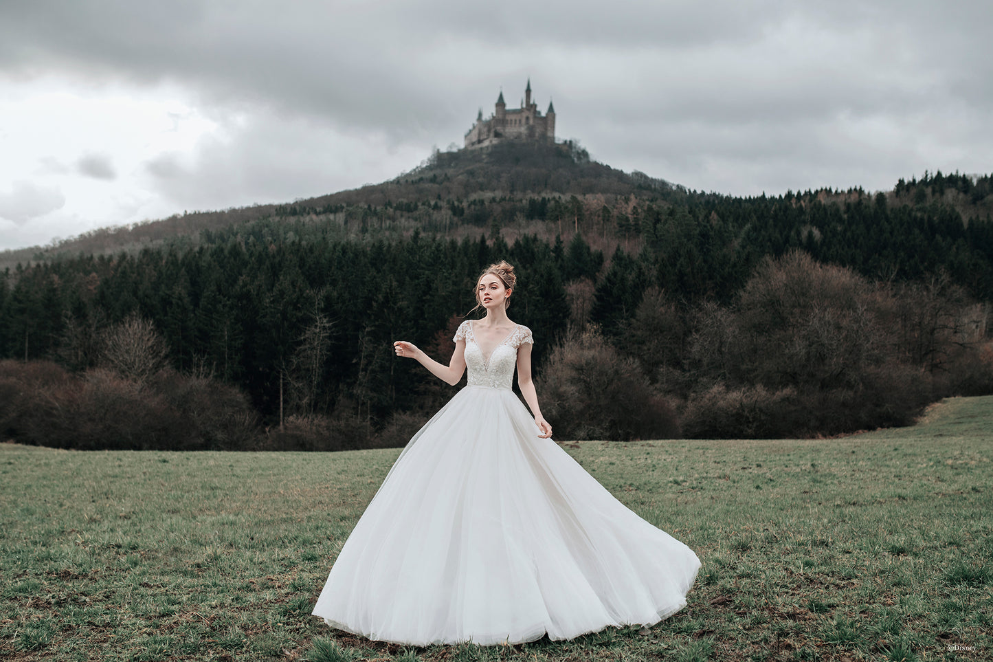D263 - Cinderella