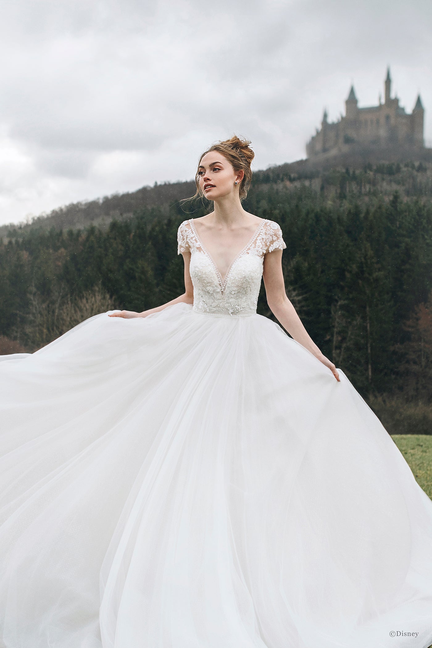 D263 - Cinderella