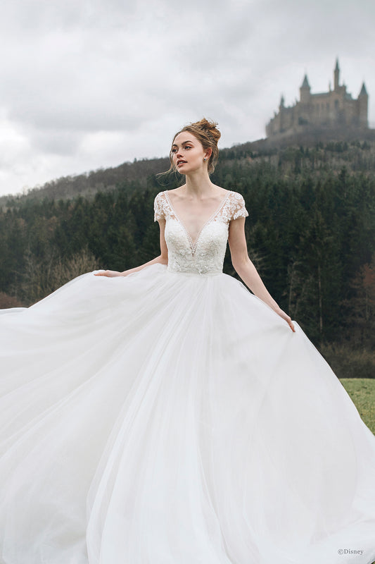 D263 - Cinderella