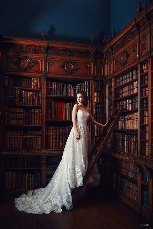D282 - Belle