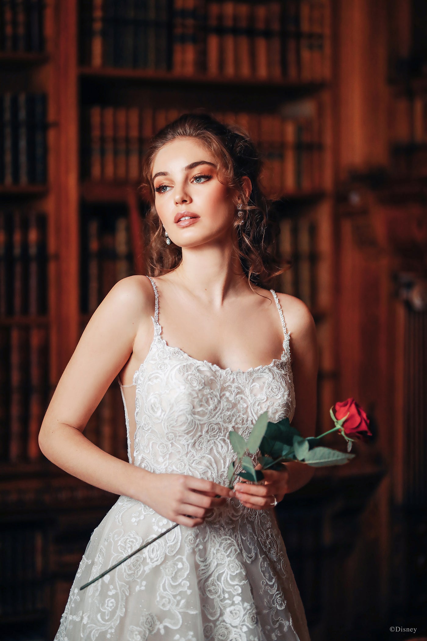 D282 - Belle