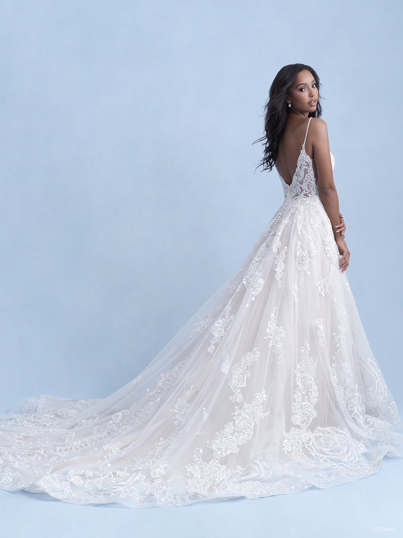 D282 - Belle