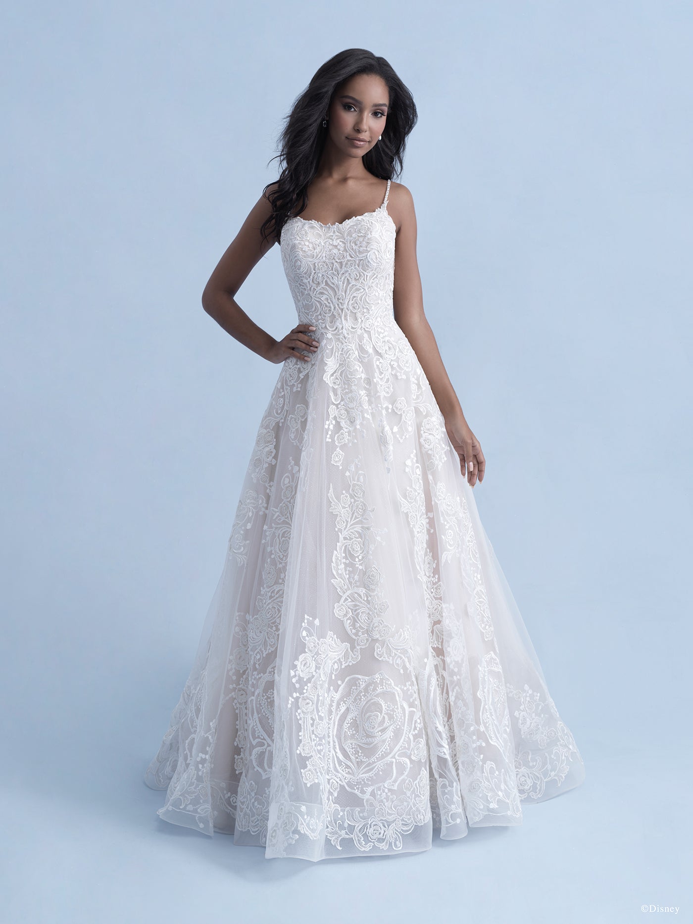 D282 - Belle