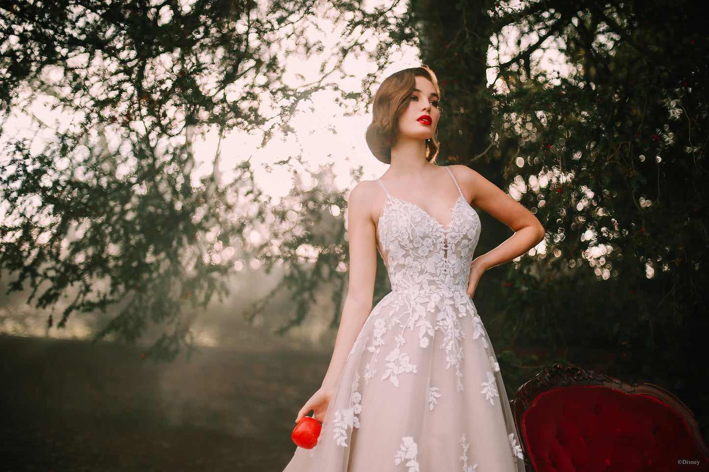 D287 - Blancanieves