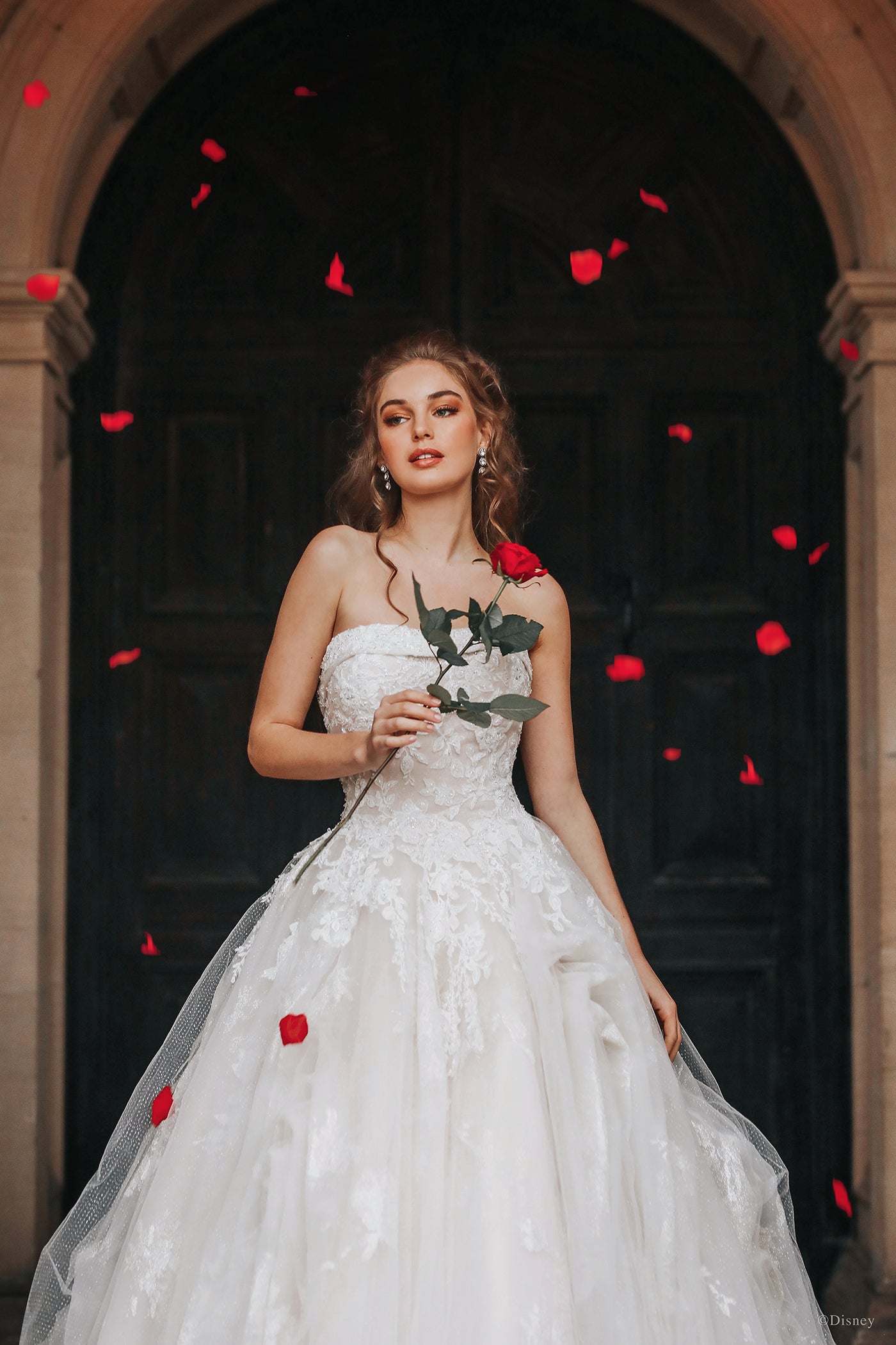 D292 - Belle