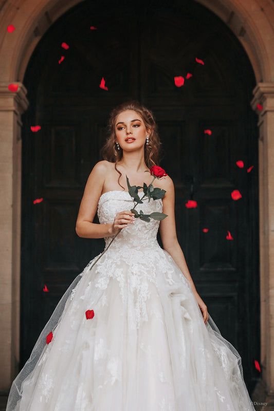 D292 - Belle