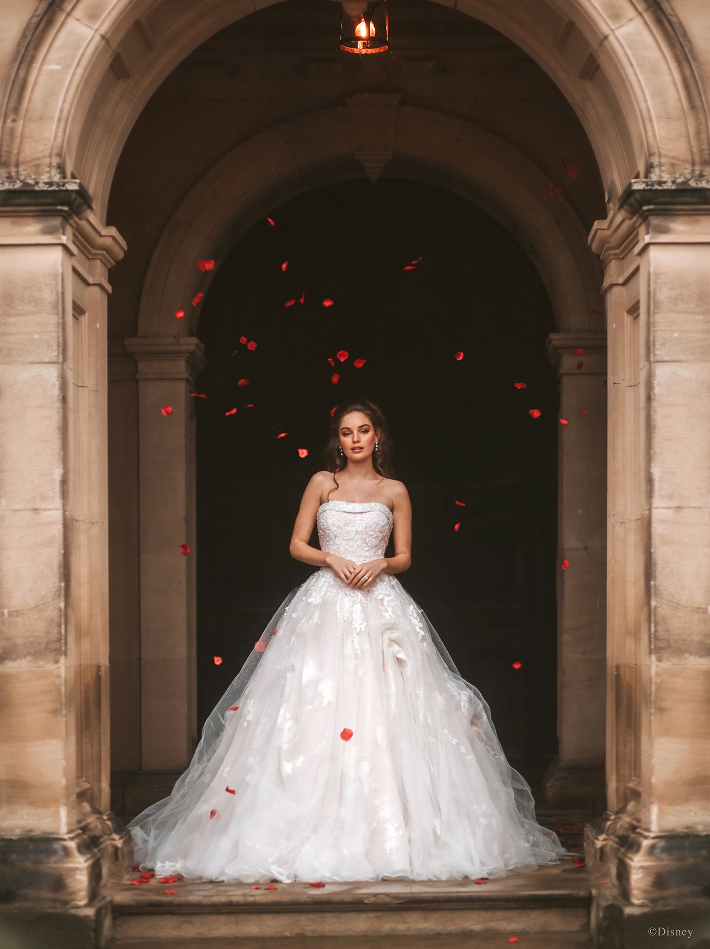 D292 - Belle