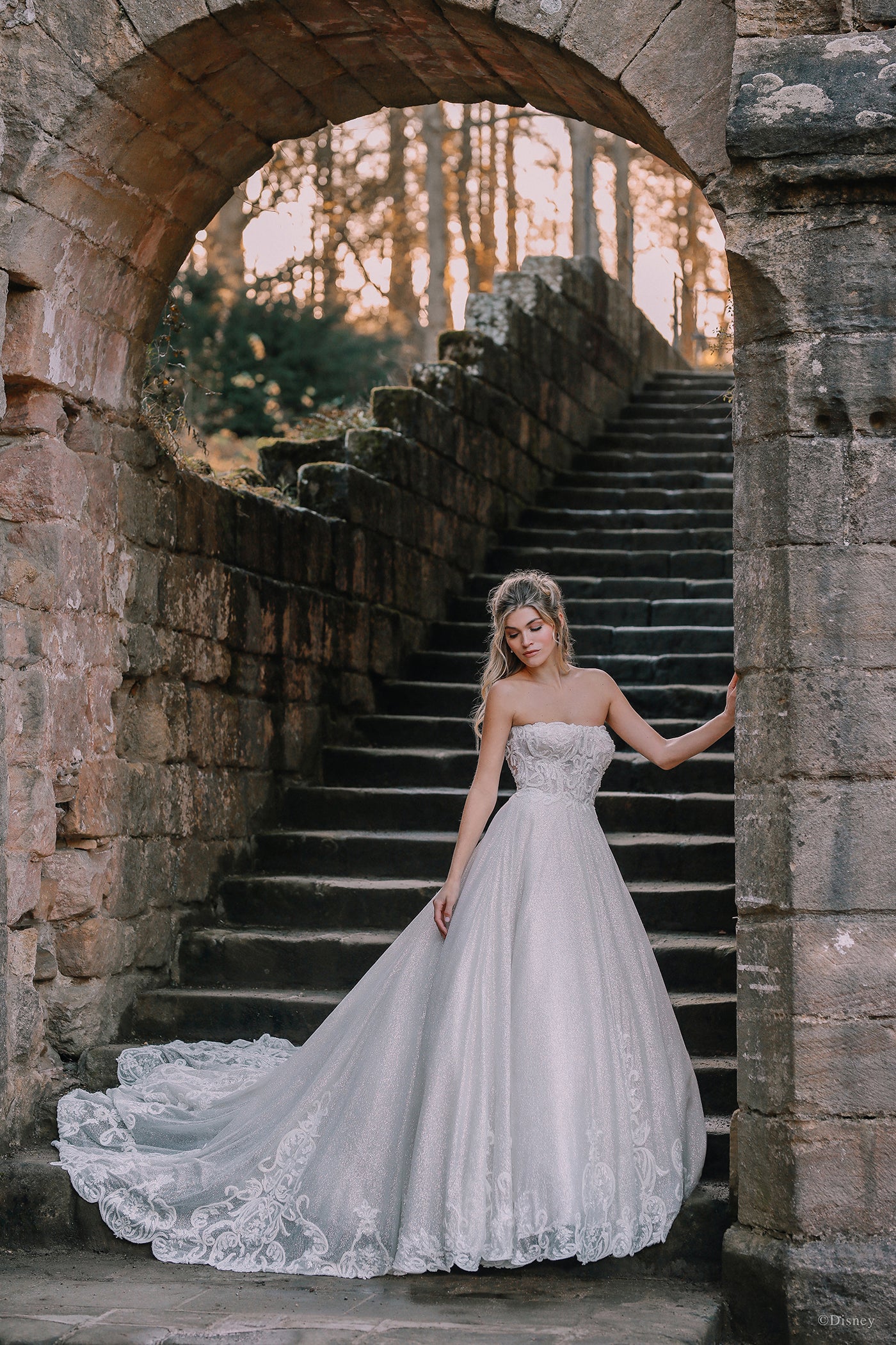 D293 - Cinderella