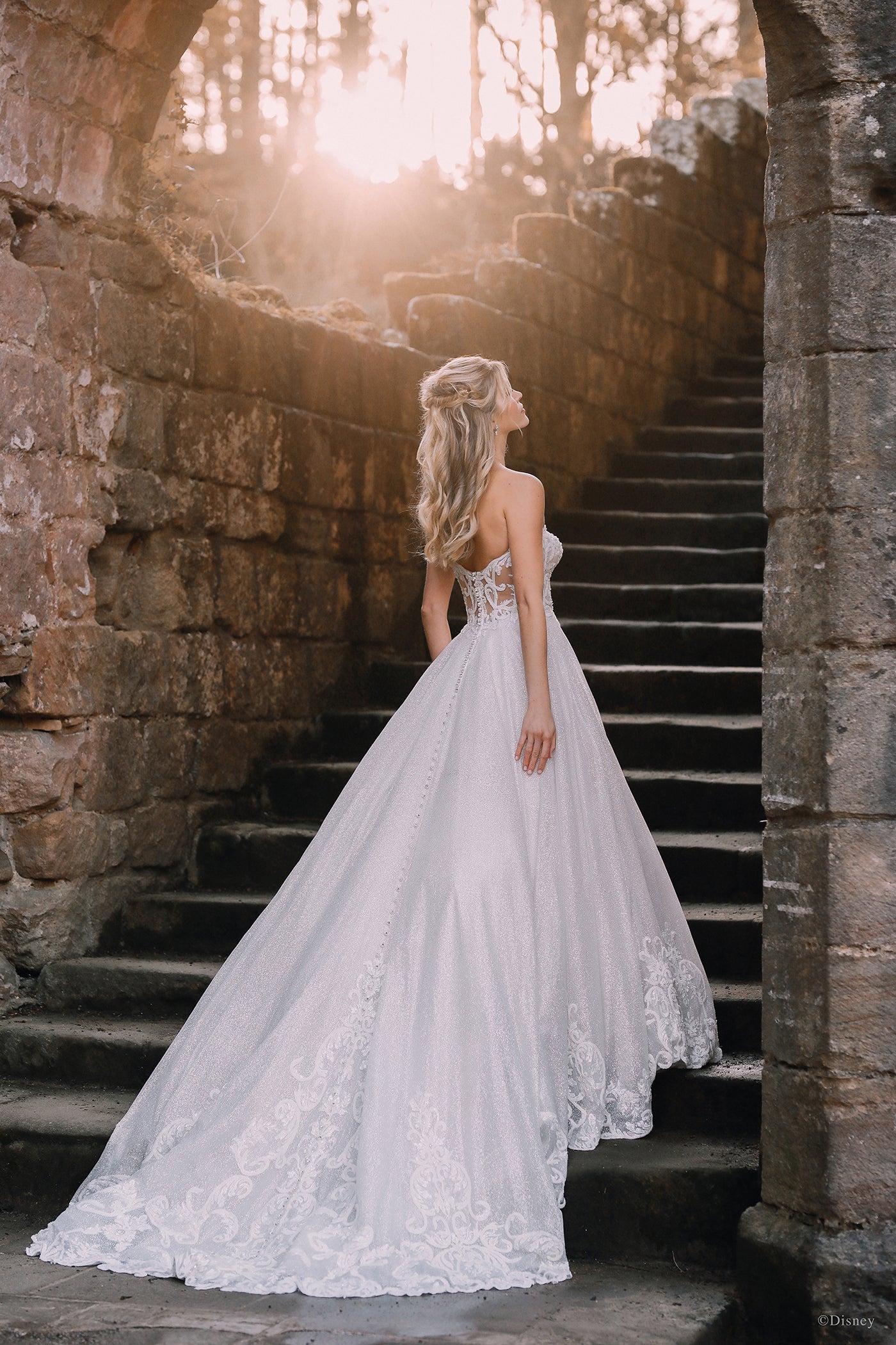D293 - Cinderella