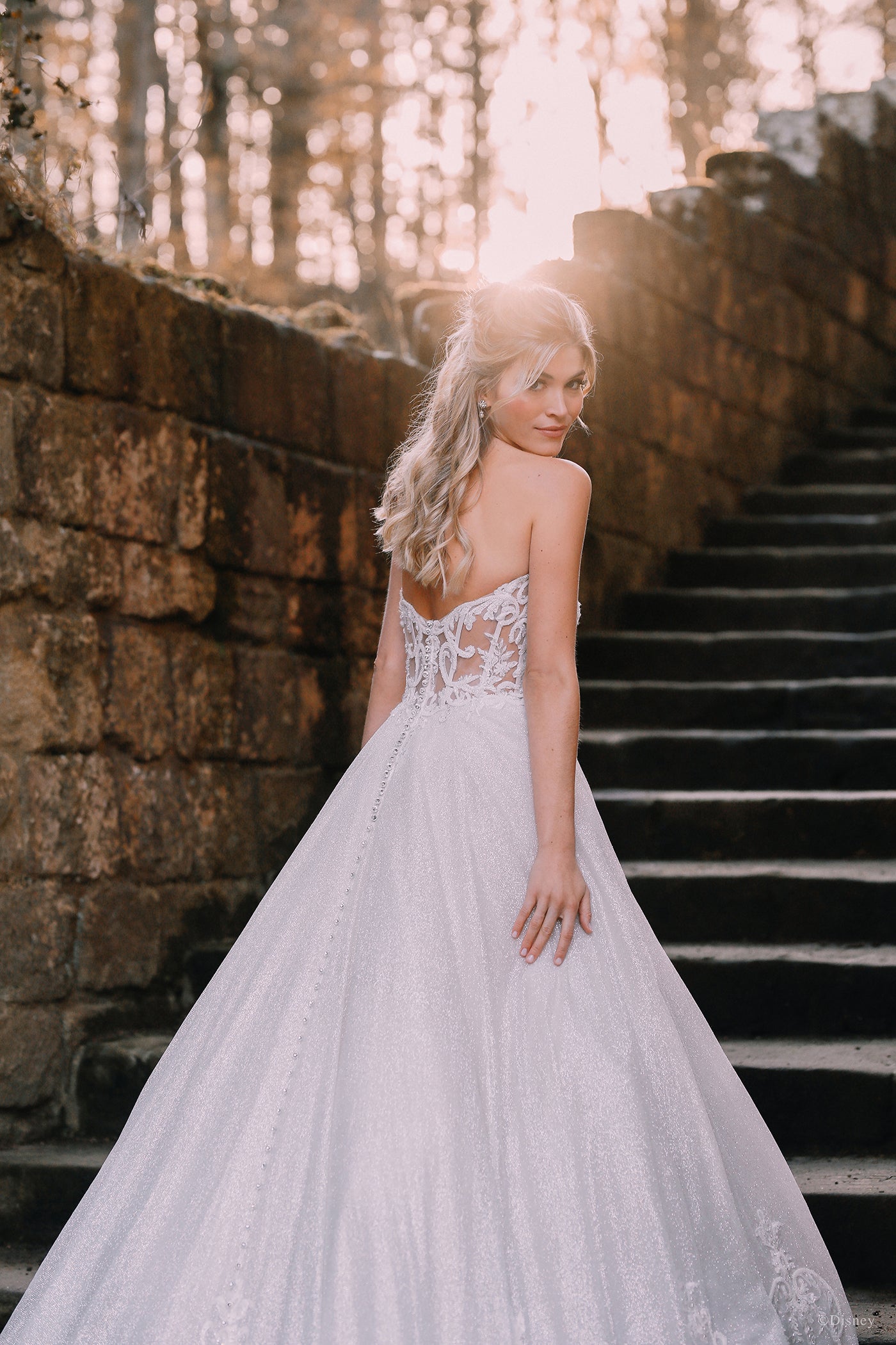 D293 - Cinderella
