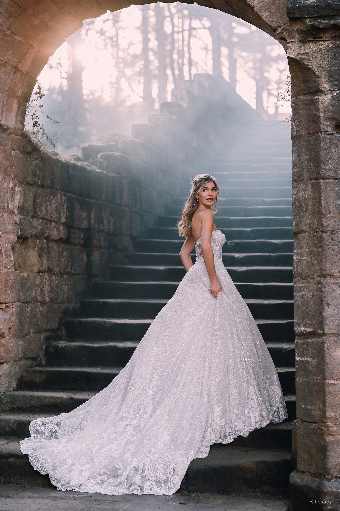 D293 - Cinderella