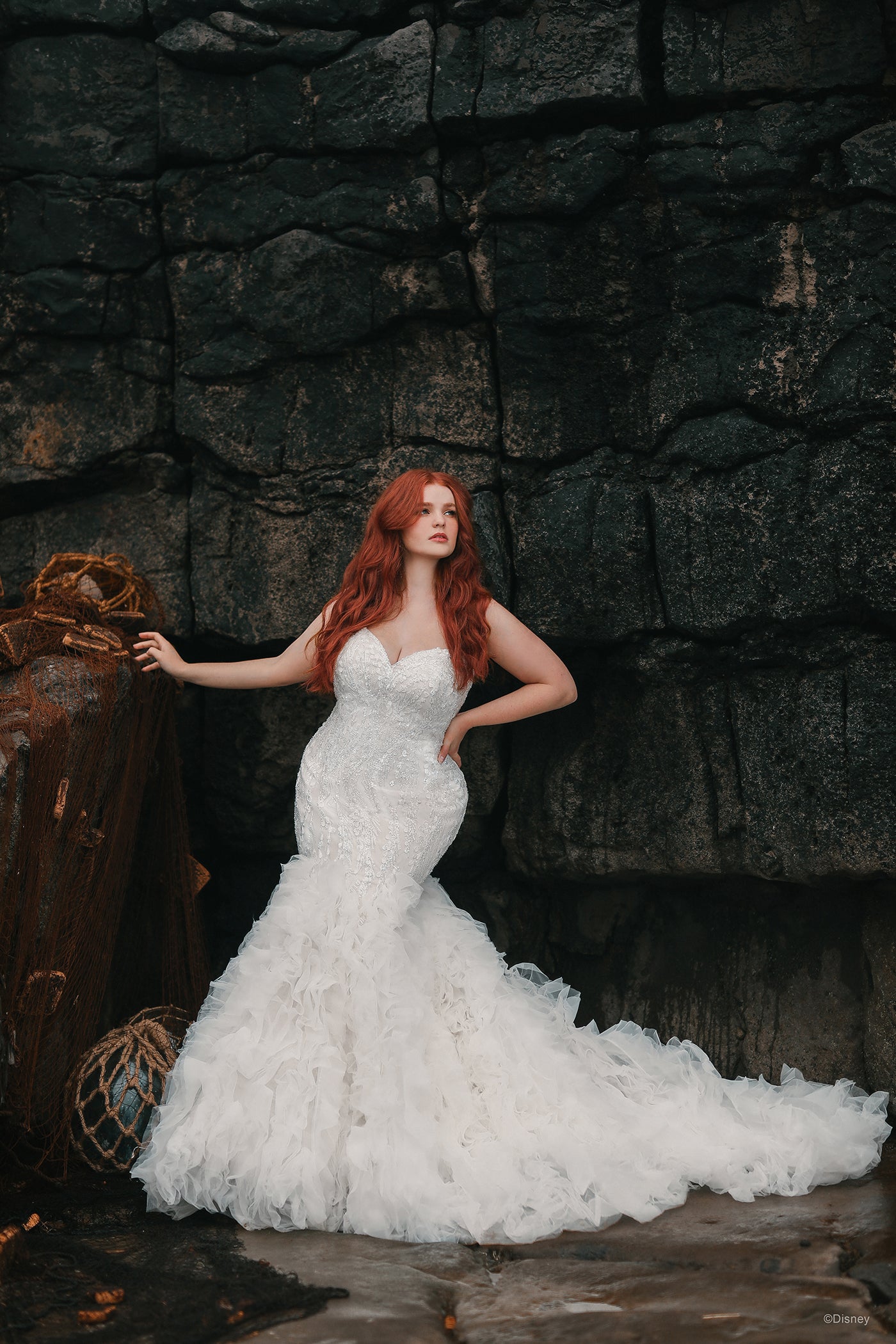 D310 - Ariel