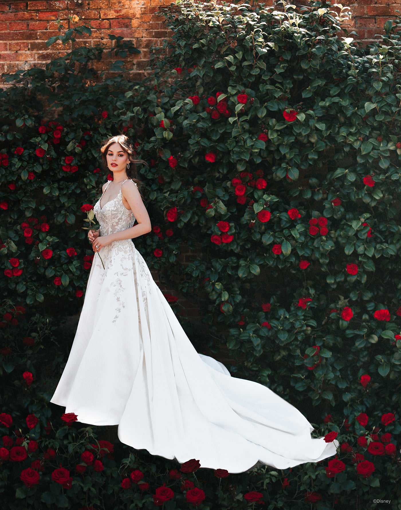 D312 - Belle