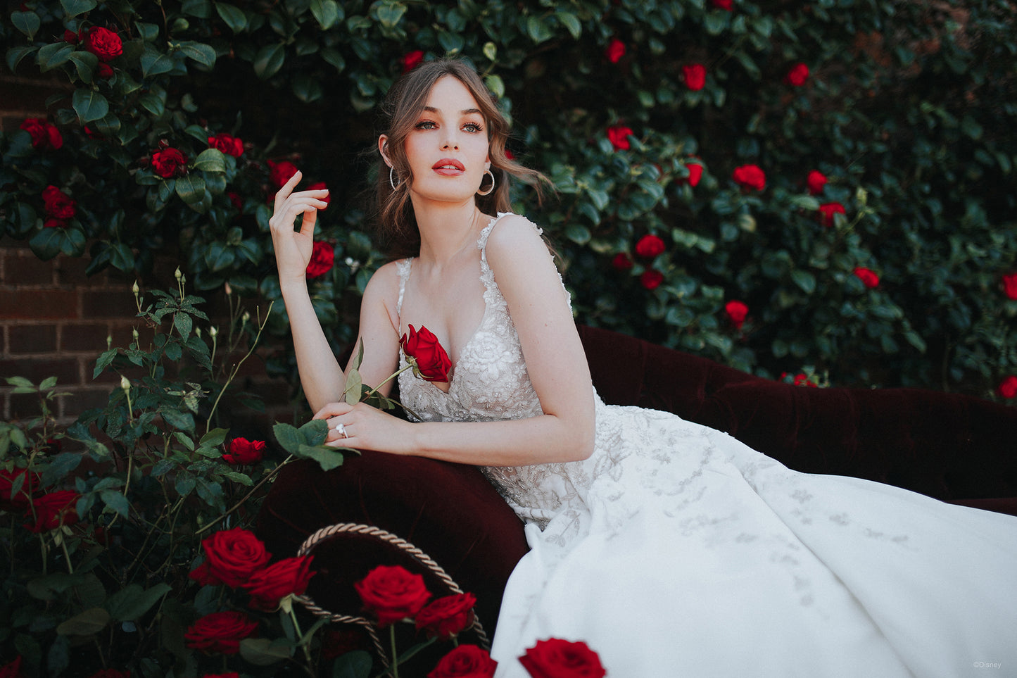 D312 - Belle