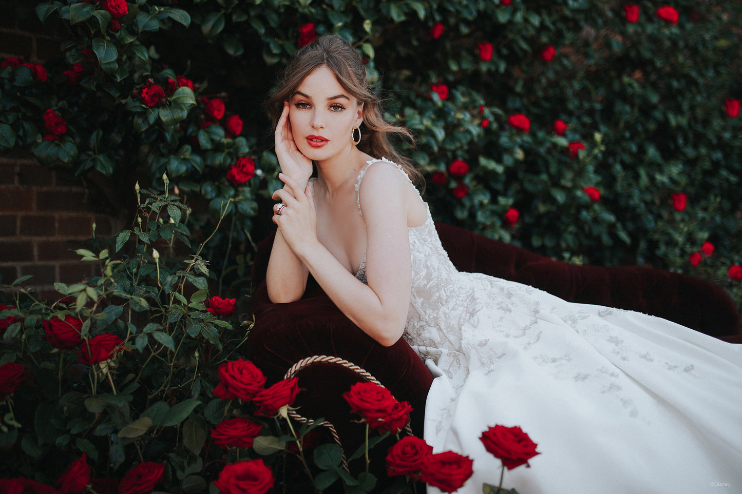 D312 - Belle