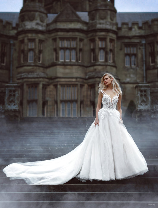 D313 - Cinderella