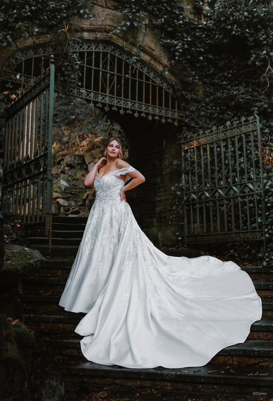 D323 - Cinderella