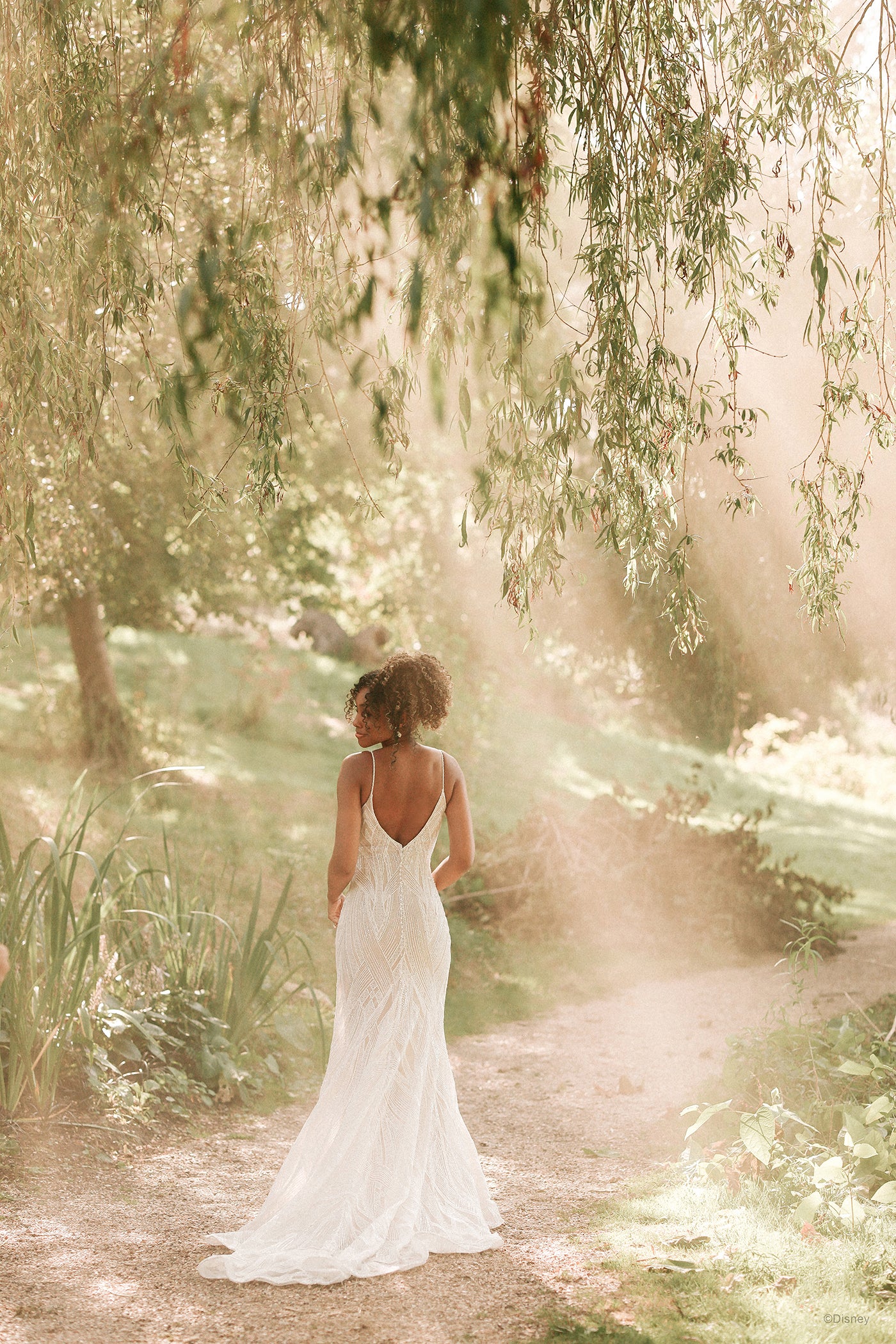 D328 - Tiana