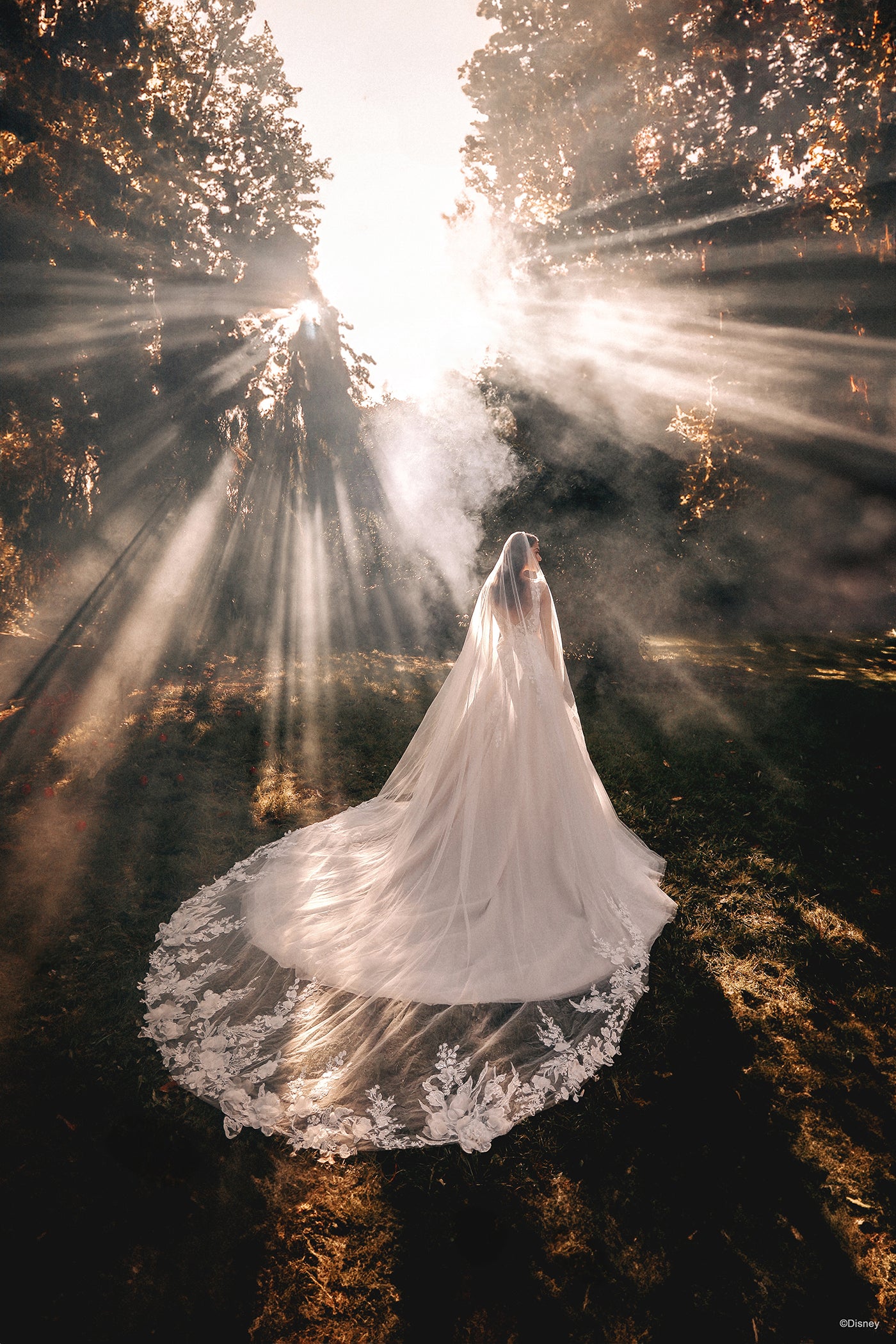 DV37 – Allure Bridals