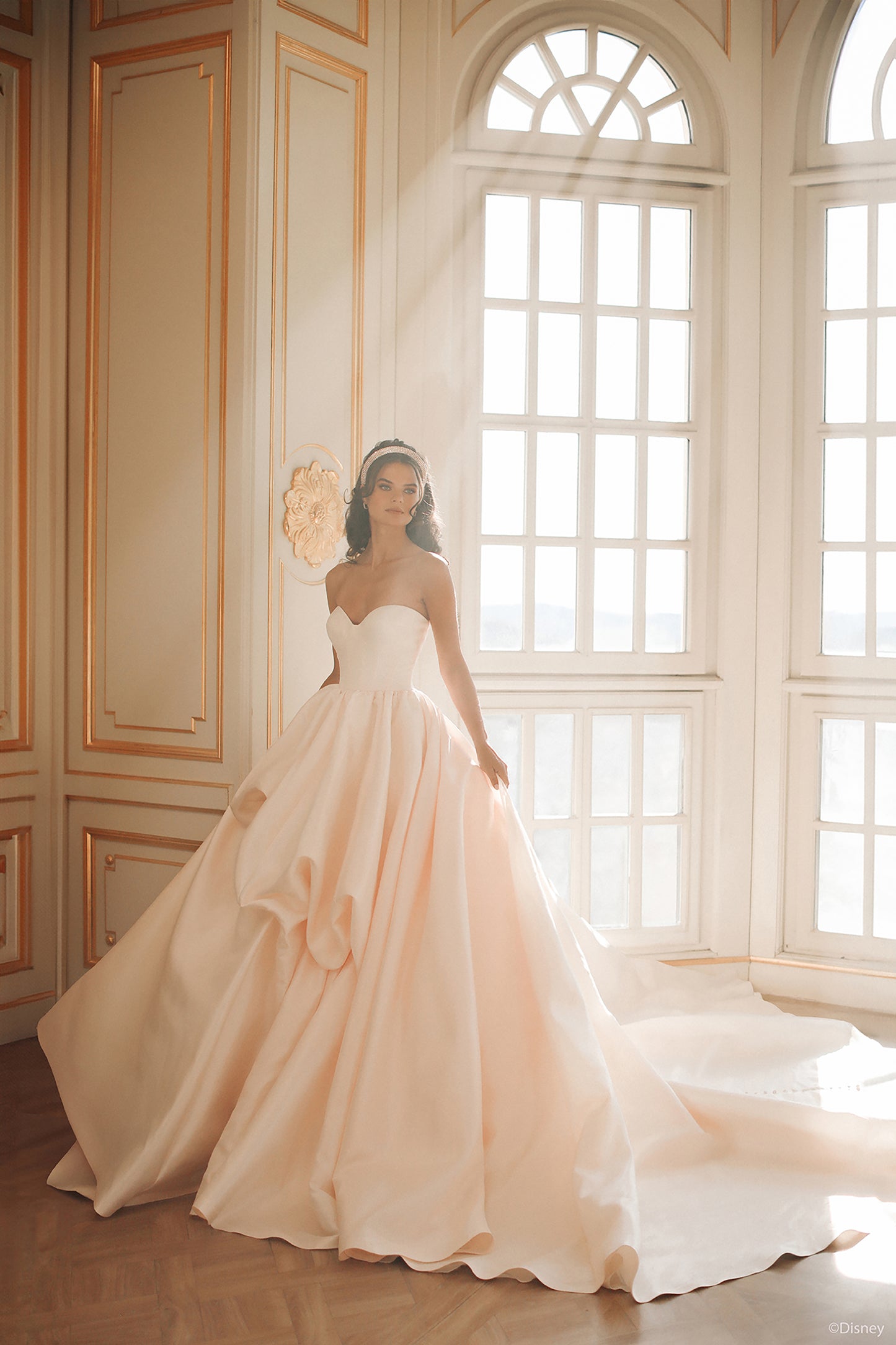 D432 - Belle